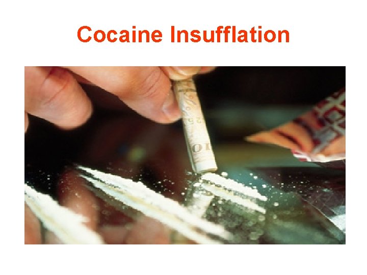 Cocaine Insufflation 