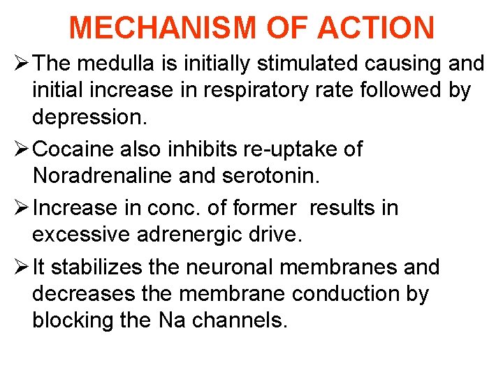 MECHANISM OF ACTION Ø The medulla is initially stimulated causing and initial increase in