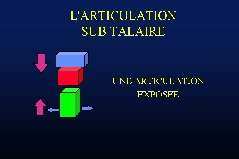 L'ARTICULATION SUB TALAIRE UNE ARTICULATION EXPOSEE 