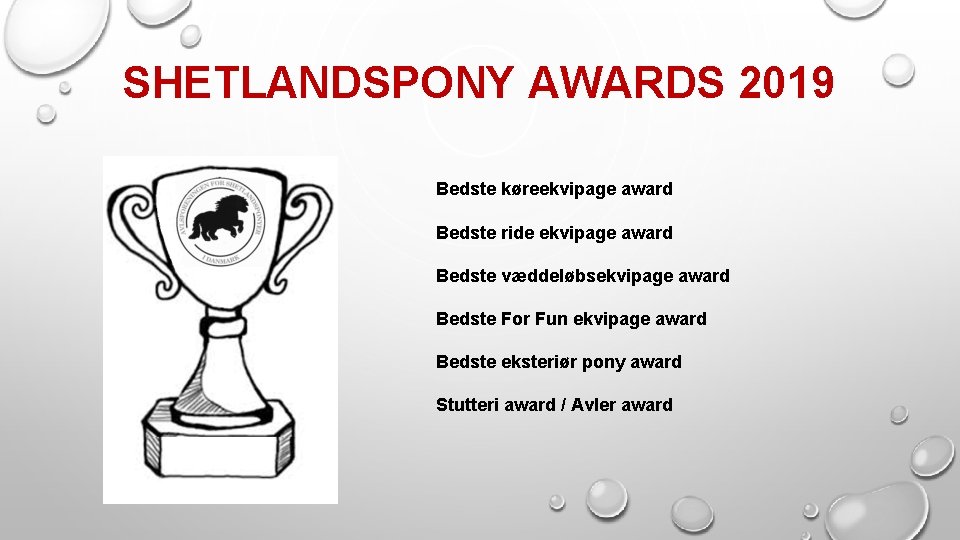 SHETLANDSPONY AWARDS 2019 Bedste køreekvipage award Bedste ride ekvipage award Bedste væddeløbsekvipage award Bedste