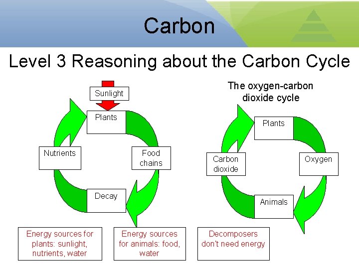 Carbon Level 3 Reasoning about the Carbon Cycle The oxygen-carbon dioxide cycle Sunlight Plants