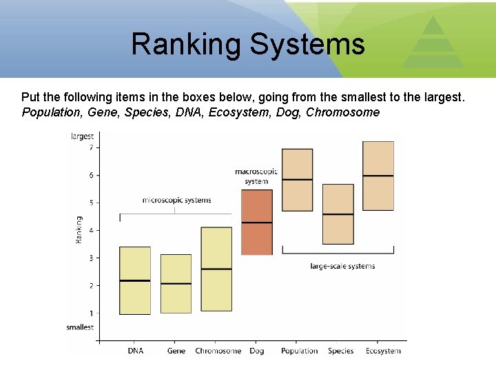 Ranking Systems Put the following items in the boxes below, going from the smallest