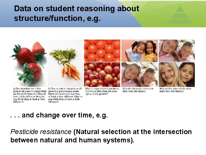 Data on student reasoning about structure/function, e. g. . and change over time, e.