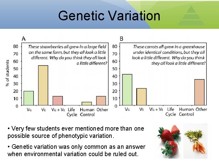 Genetic Variation • Very few students ever mentioned more than one possible source of