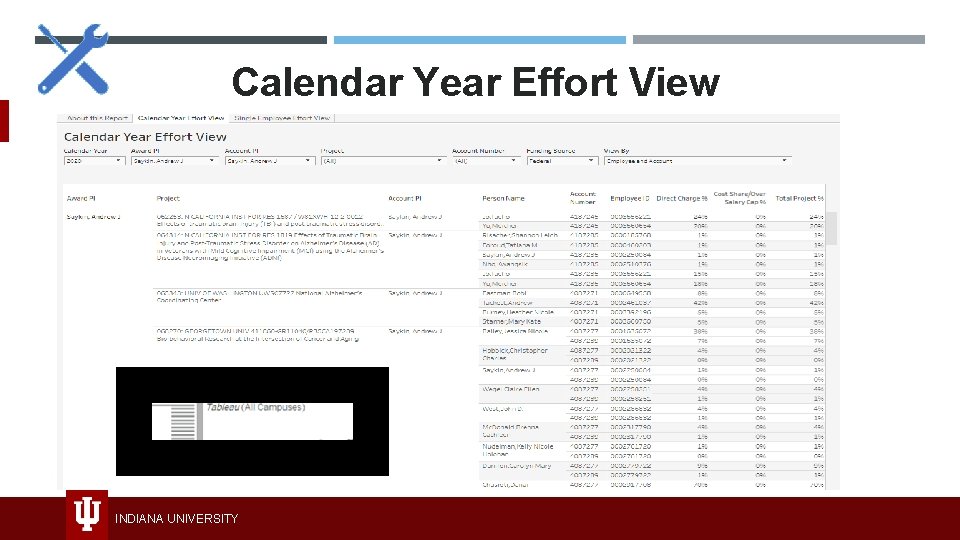 Calendar Year Effort View INDIANA UNIVERSITY 