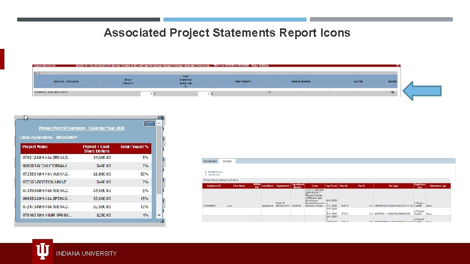 Associated Project Statements Report Icons INDIANA UNIVERSITY 