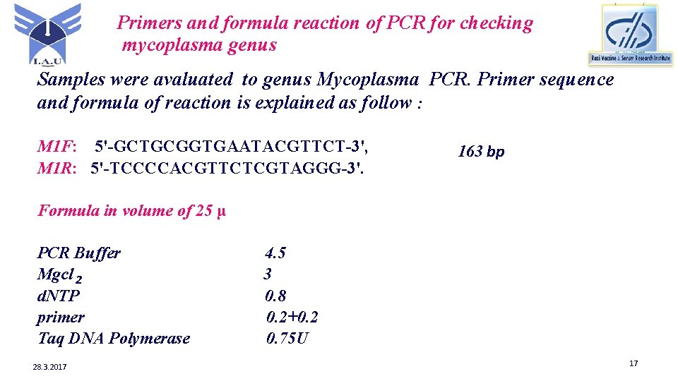 Primers and formula reaction of PCR for checking mycoplasma genus Samples were avaluated to