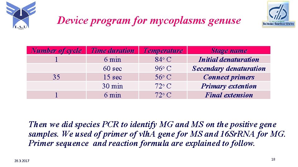 Device program for mycoplasms genuse Number of cycle 1 35 1 Time duration 6