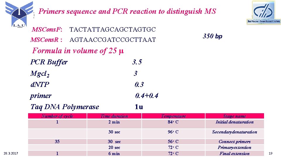 Primers sequence and PCR reaction to distinguish MS MSCons. F: TACTATTAGCAGCTAGTGC MSCons. R :