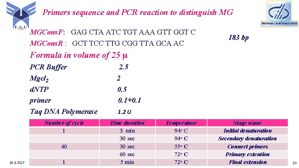 Primers sequence and PCR reaction to distinguish MG MGCons. F: GAG CTA ATC TGT