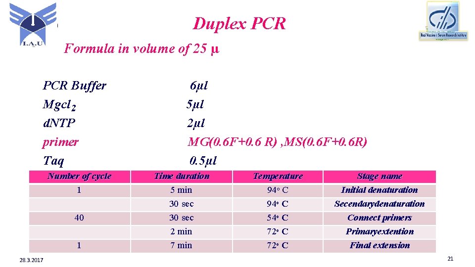 Duplex PCR Formula in volume of 25 µ PCR Buffer Mgcl 2 d. NTP