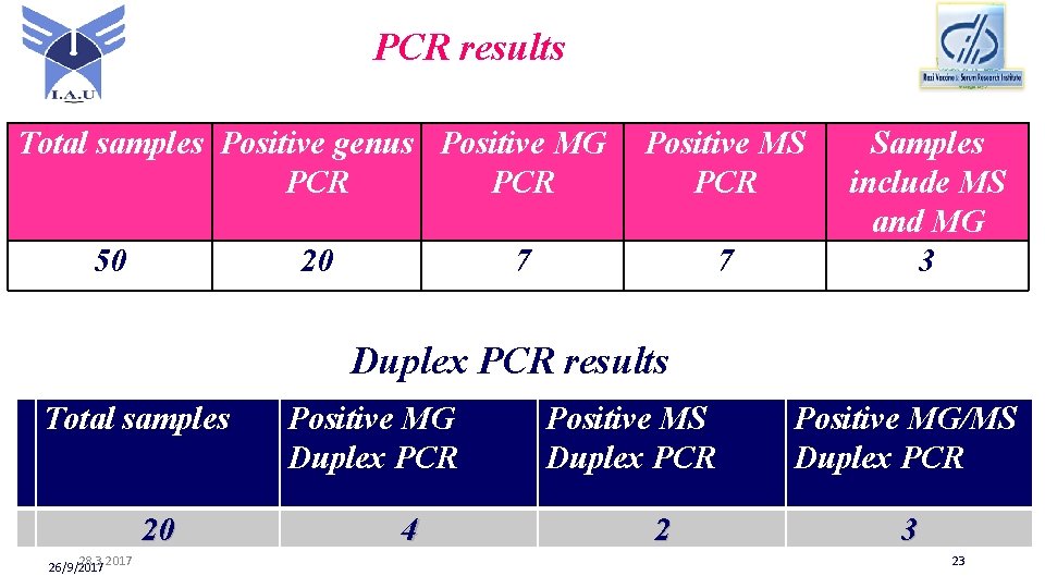 PCR results Total samples Positive genus Positive MG PCR 50 20 Positive MS PCR