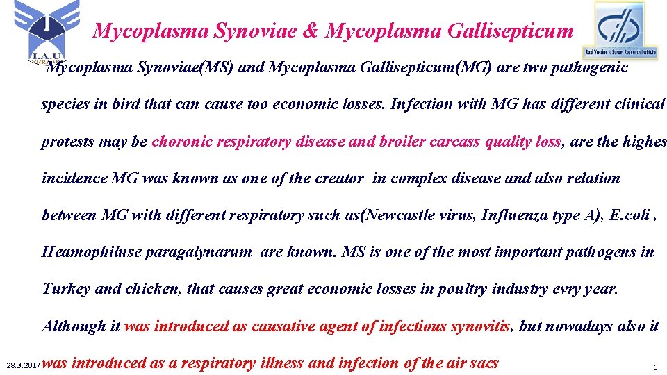 Mycoplasma Synoviae & Mycoplasma Gallisepticum Mycoplasma Synoviae(MS) and Mycoplasma Gallisepticum(MG) are two pathogenic species