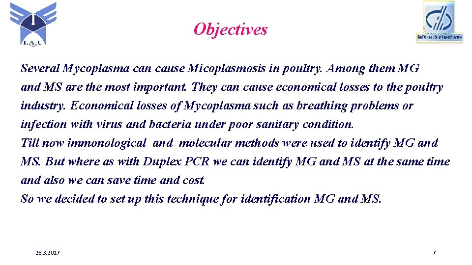 Objectives Several Mycoplasma can cause Micoplasmosis in poultry. Among them MG and MS are