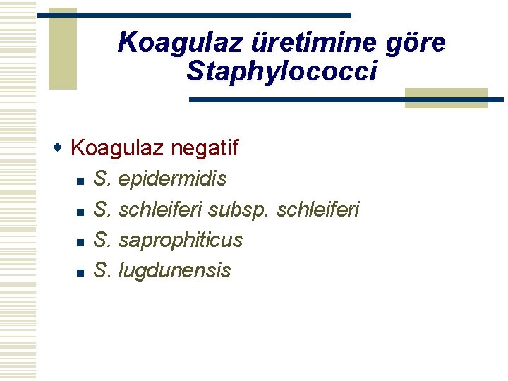 Koagulaz üretimine göre Staphylococci w Koagulaz negatif n n S. epidermidis S. schleiferi subsp.