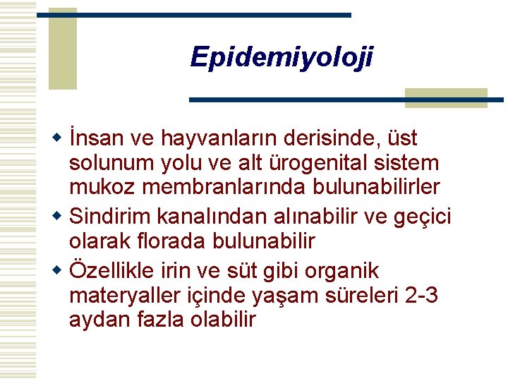 Epidemiyoloji w İnsan ve hayvanların derisinde, üst solunum yolu ve alt ürogenital sistem mukoz