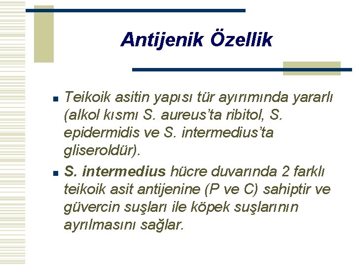 Antijenik Özellik n n Teikoik asitin yapısı tür ayırımında yararlı (alkol kısmı S. aureus’ta