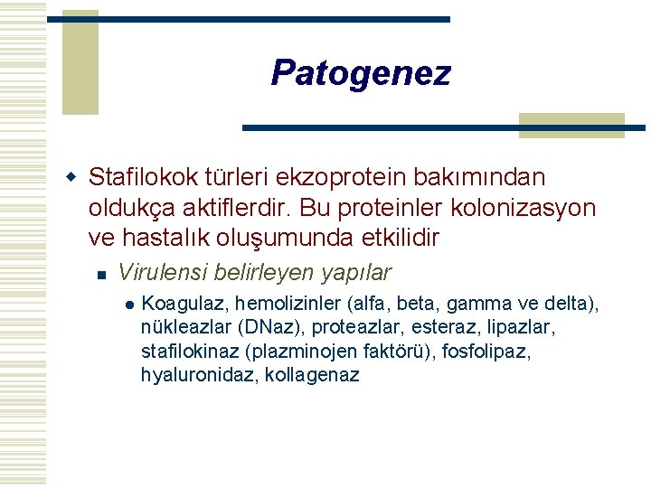 Patogenez w Stafilokok türleri ekzoprotein bakımından oldukça aktiflerdir. Bu proteinler kolonizasyon ve hastalık oluşumunda