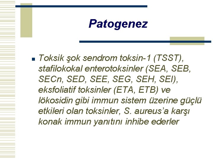 Patogenez n Toksik şok sendrom toksin-1 (TSST), stafilokokal enterotoksinler (SEA, SEB, SECn, SED, SEE,