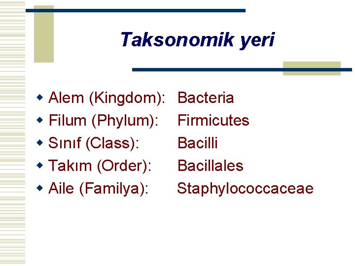 Taksonomik yeri w Alem (Kingdom): w Filum (Phylum): w Sınıf (Class): w Takım (Order):