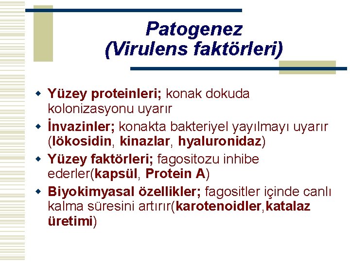 Patogenez (Virulens faktörleri) w Yüzey proteinleri; konak dokuda kolonizasyonu uyarır w İnvazinler; konakta bakteriyel