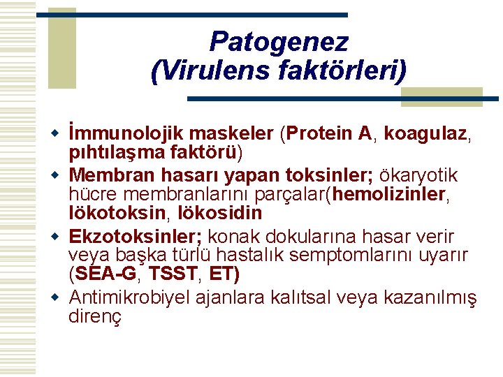 Patogenez (Virulens faktörleri) w İmmunolojik maskeler (Protein A, koagulaz, pıhtılaşma faktörü) w Membran hasarı