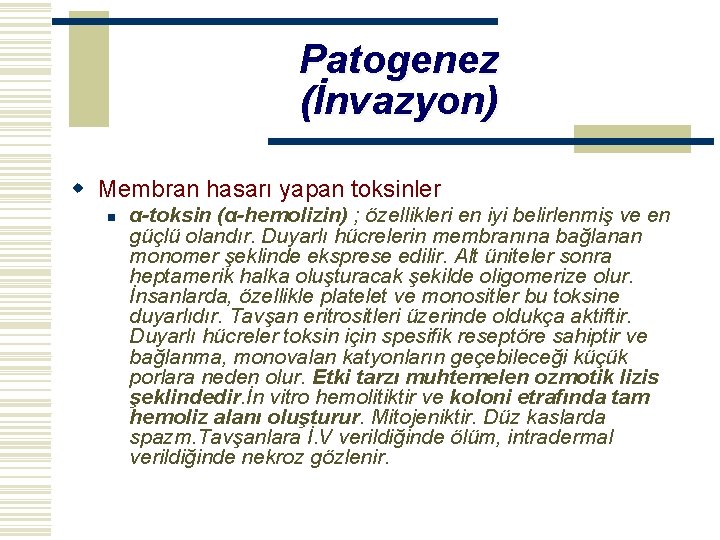 Patogenez (İnvazyon) w Membran hasarı yapan toksinler n α-toksin (α-hemolizin) ; özellikleri en iyi