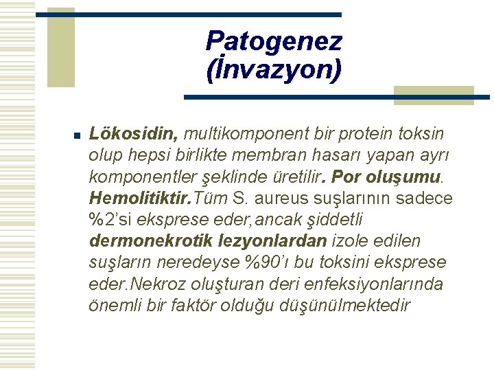 Patogenez (İnvazyon) n Lökosidin, multikomponent bir protein toksin olup hepsi birlikte membran hasarı yapan