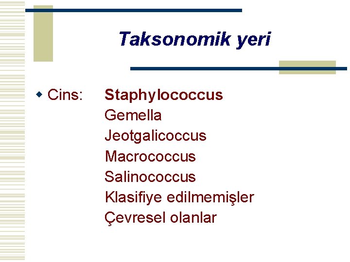 Taksonomik yeri w Cins: Staphylococcus Gemella Jeotgalicoccus Macrococcus Salinococcus Klasifiye edilmemişler Çevresel olanlar 