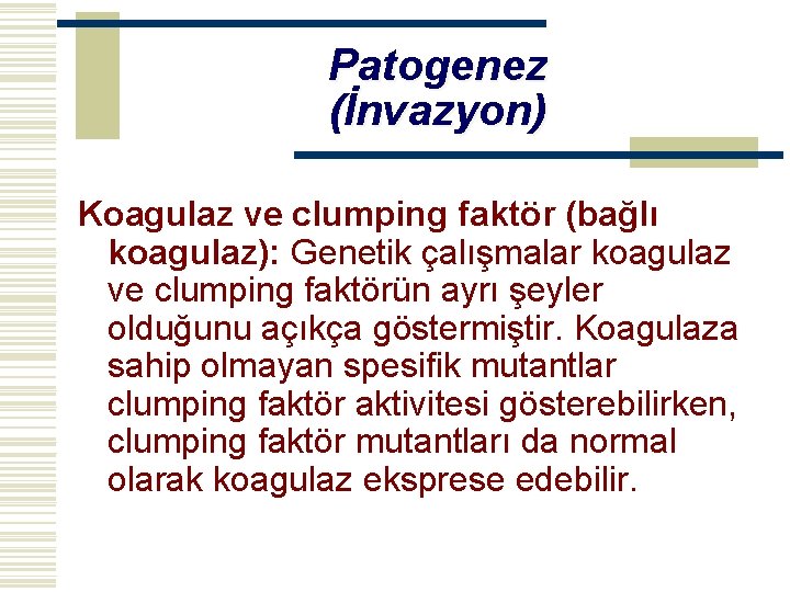 Patogenez (İnvazyon) Koagulaz ve clumping faktör (bağlı koagulaz): Genetik çalışmalar koagulaz ve clumping faktörün