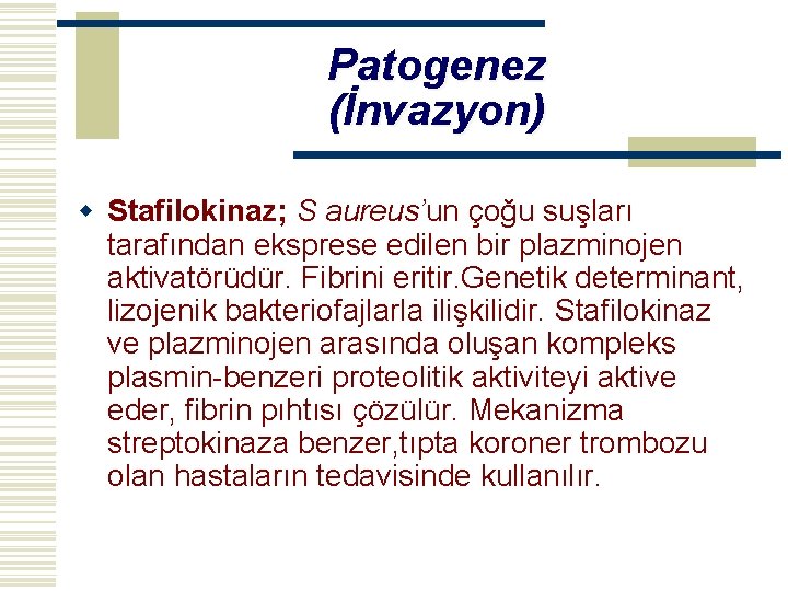 Patogenez (İnvazyon) w Stafilokinaz; S aureus’un çoğu suşları tarafından eksprese edilen bir plazminojen aktivatörüdür.