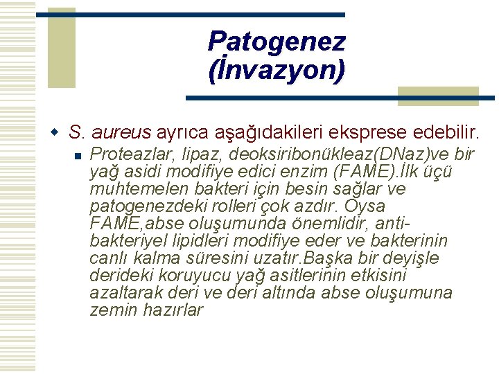 Patogenez (İnvazyon) w S. aureus ayrıca aşağıdakileri eksprese edebilir. n Proteazlar, lipaz, deoksiribonükleaz(DNaz)ve bir