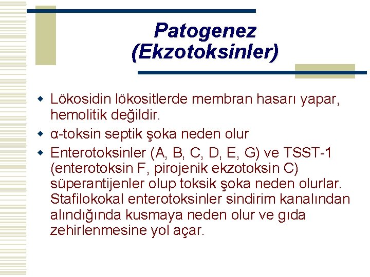 Patogenez (Ekzotoksinler) w Lökosidin lökositlerde membran hasarı yapar, hemolitik değildir. w α-toksin septik şoka