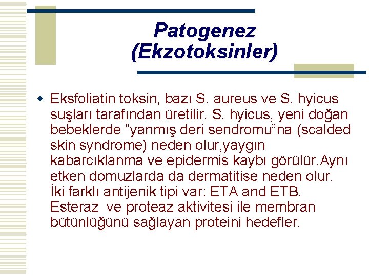 Patogenez (Ekzotoksinler) w Eksfoliatin toksin, bazı S. aureus ve S. hyicus suşları tarafından üretilir.