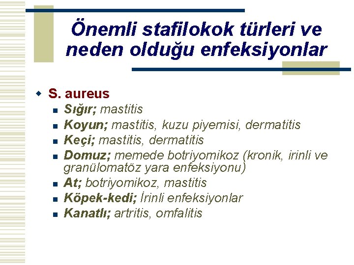 Önemli stafilokok türleri ve neden olduğu enfeksiyonlar w S. aureus n n n n