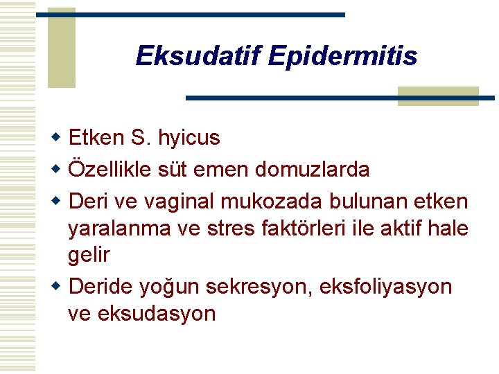 Eksudatif Epidermitis w Etken S. hyicus w Özellikle süt emen domuzlarda w Deri ve