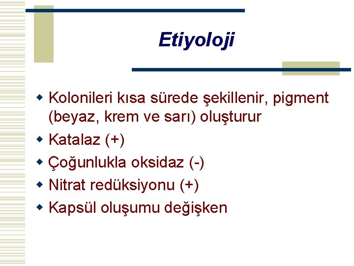 Etiyoloji w Kolonileri kısa sürede şekillenir, pigment (beyaz, krem ve sarı) oluşturur w Katalaz