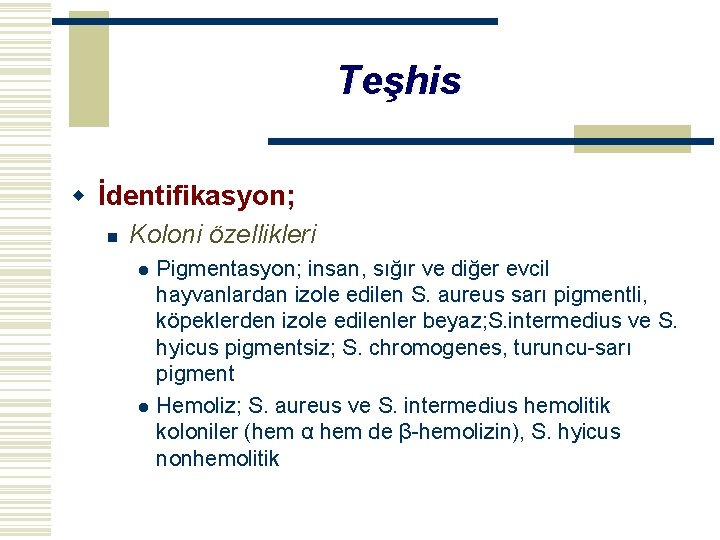 Teşhis w İdentifikasyon; n Koloni özellikleri l l Pigmentasyon; insan, sığır ve diğer evcil