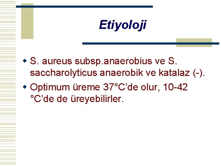 Etiyoloji w S. aureus subsp. anaerobius ve S. saccharolyticus anaerobik ve katalaz (-). w