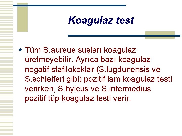 Koagulaz test w Tüm S. aureus suşları koagulaz üretmeyebilir. Ayrıca bazı koagulaz negatif stafilokoklar