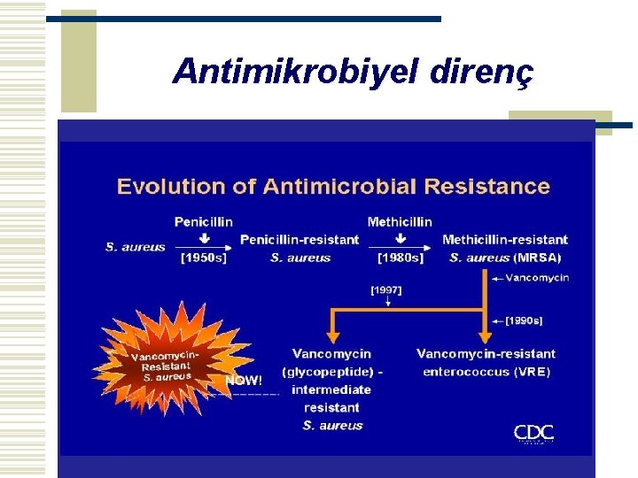 Antimikrobiyel direnç 