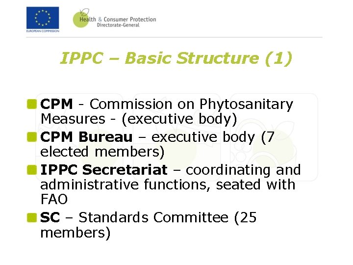 IPPC – Basic Structure (1) CPM - Commission on Phytosanitary Measures - (executive body)