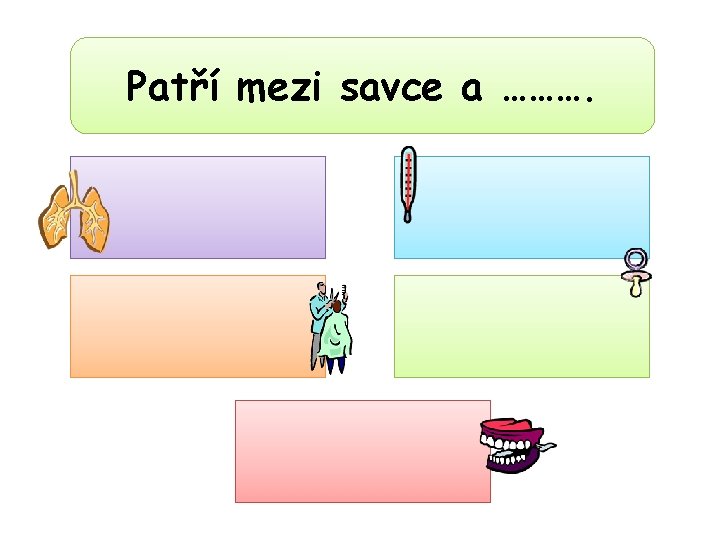 Patří mezi savce a ………. Dýchají plícemi! Mají stálou tělesnou teplotu! Tělo pokrývá srst!