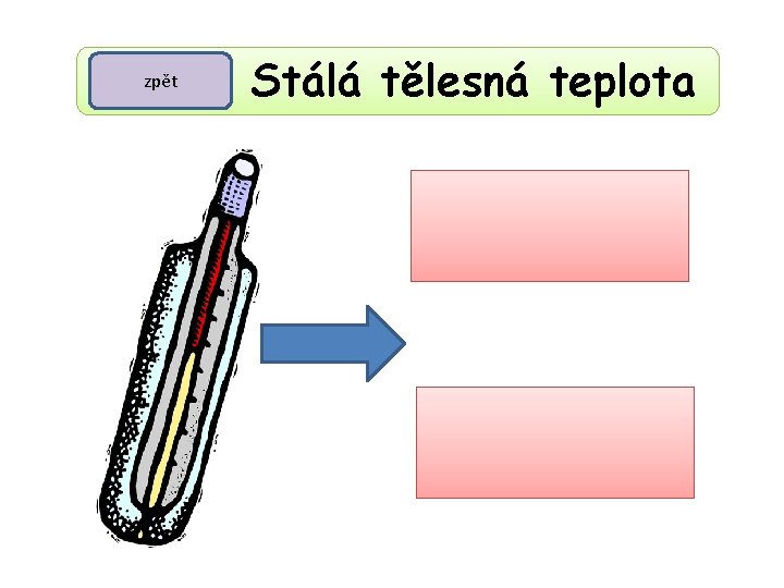 zpět Stálá tělesná teplota teplokrevní tělesná teplota 36 – 39 °C 