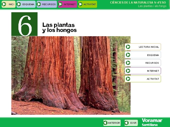 INICI ESQUEMA RECURSOS INTERNET ACTIVITAT CIÈNCIES DE LA NATURALESA 1 r d’ESO Les plantes