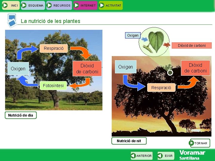 INICI ESQUEMA RECURSOS INTERNET ACTIVITAT La nutrició de les plantes Oxigen Diòxid de carboni