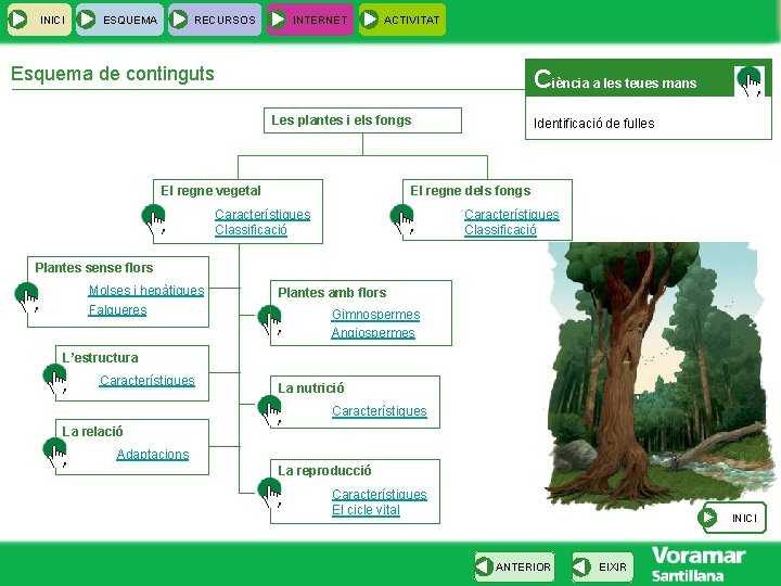 INICI ESQUEMA RECURSOS INTERNET ACTIVITAT Esquema de continguts Ciència a les teues mans Les