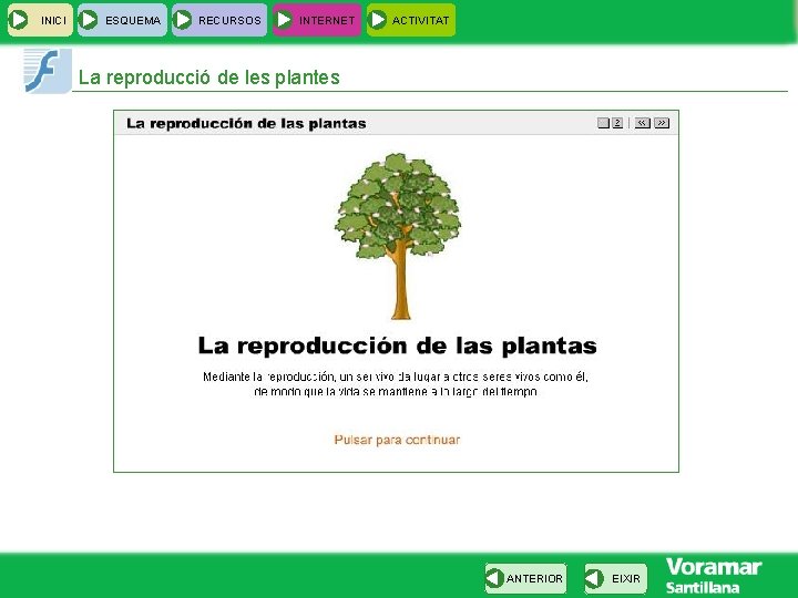 INICI ESQUEMA RECURSOS INTERNET ACTIVITAT La reproducció de les plantes ANTERIOR EIXIR 