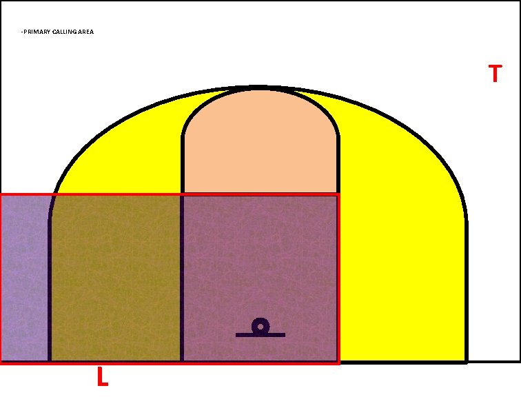 -PRIMARY CALLING AREA T L 