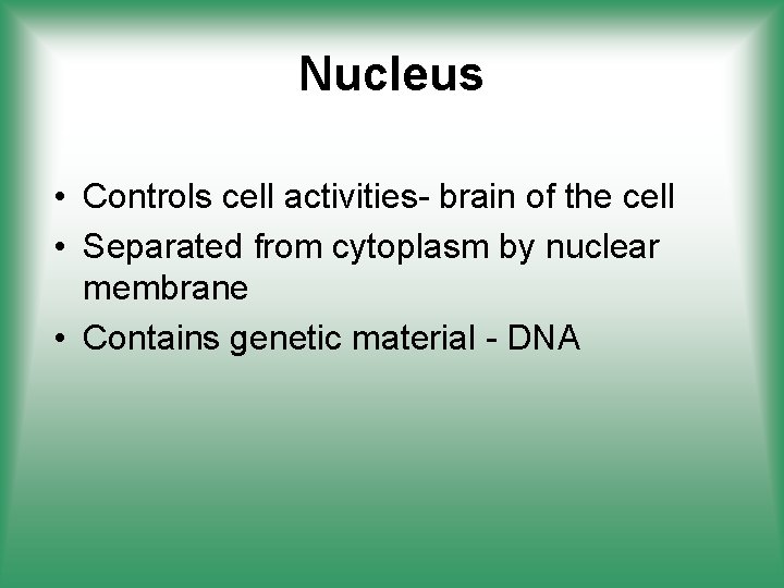 Nucleus • Controls cell activities- brain of the cell • Separated from cytoplasm by